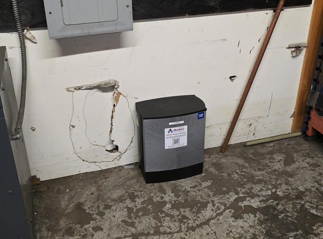 Data Shows Modern Pests’ SMART Rodent Control Prevented Millions of Rats in Somerville, Quincy, and Greater Boston